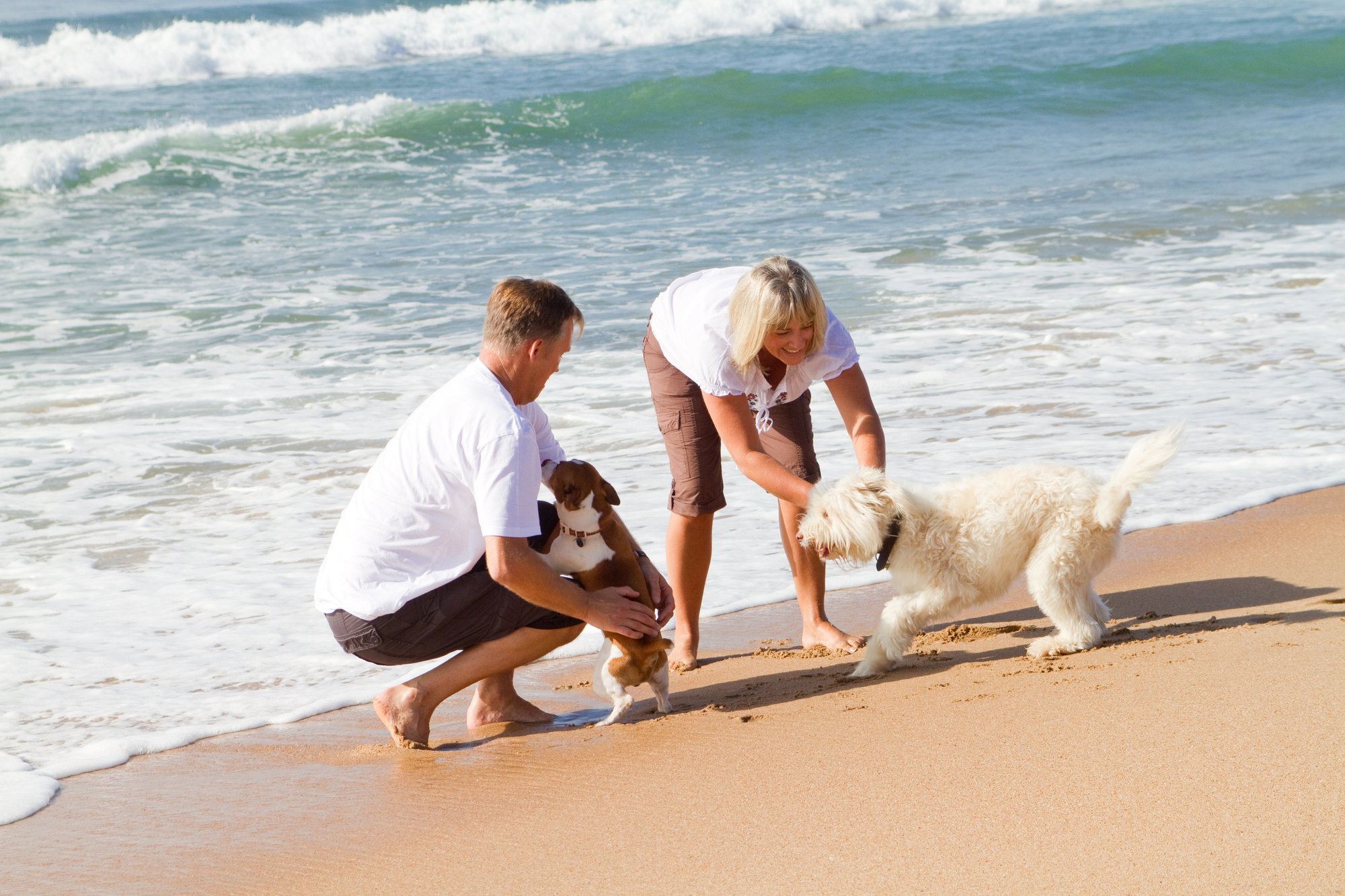 8 пляжей и бассейн: Топ-9 мест для купания с собаками в провинции Аликанте