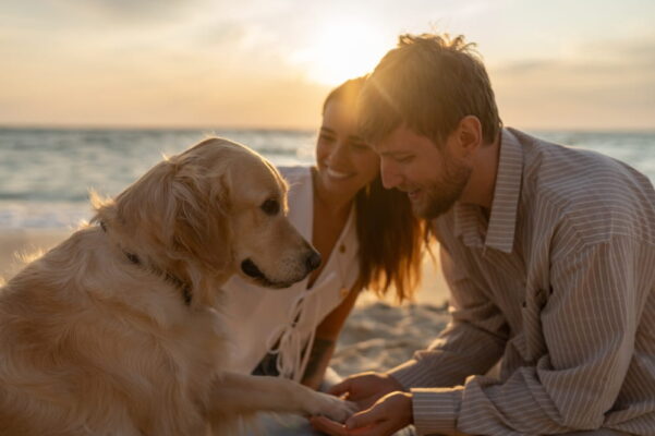 Ожидается, что туризм pet-friendly будет расти на 10% в год
